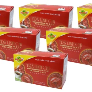 [ 6x 50g (150x2g) ] HUNG PHAT Reishi Pilz Tee mit Artischocke / Trà Linh Chi / Lingzhi