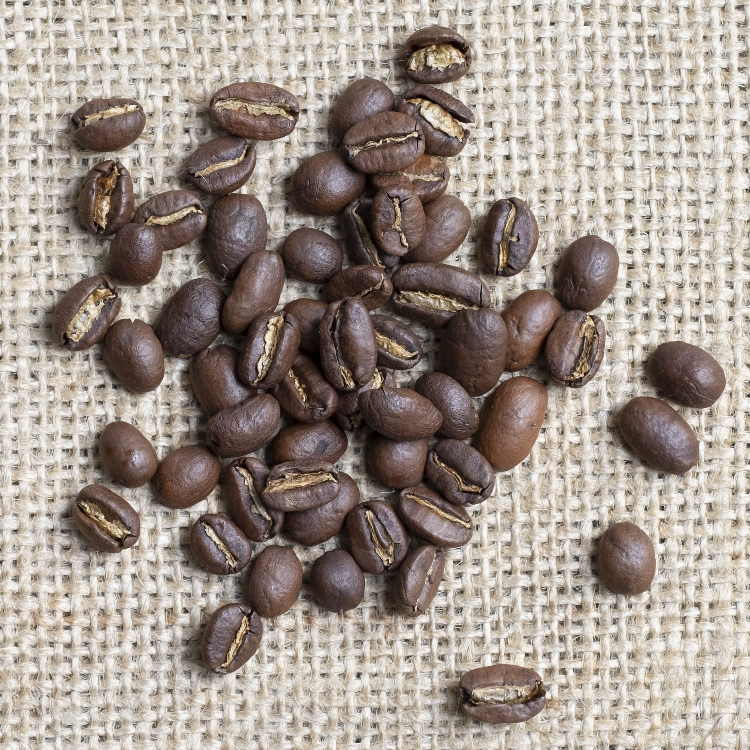 Kaffee Ethiopia Sidamo Aida