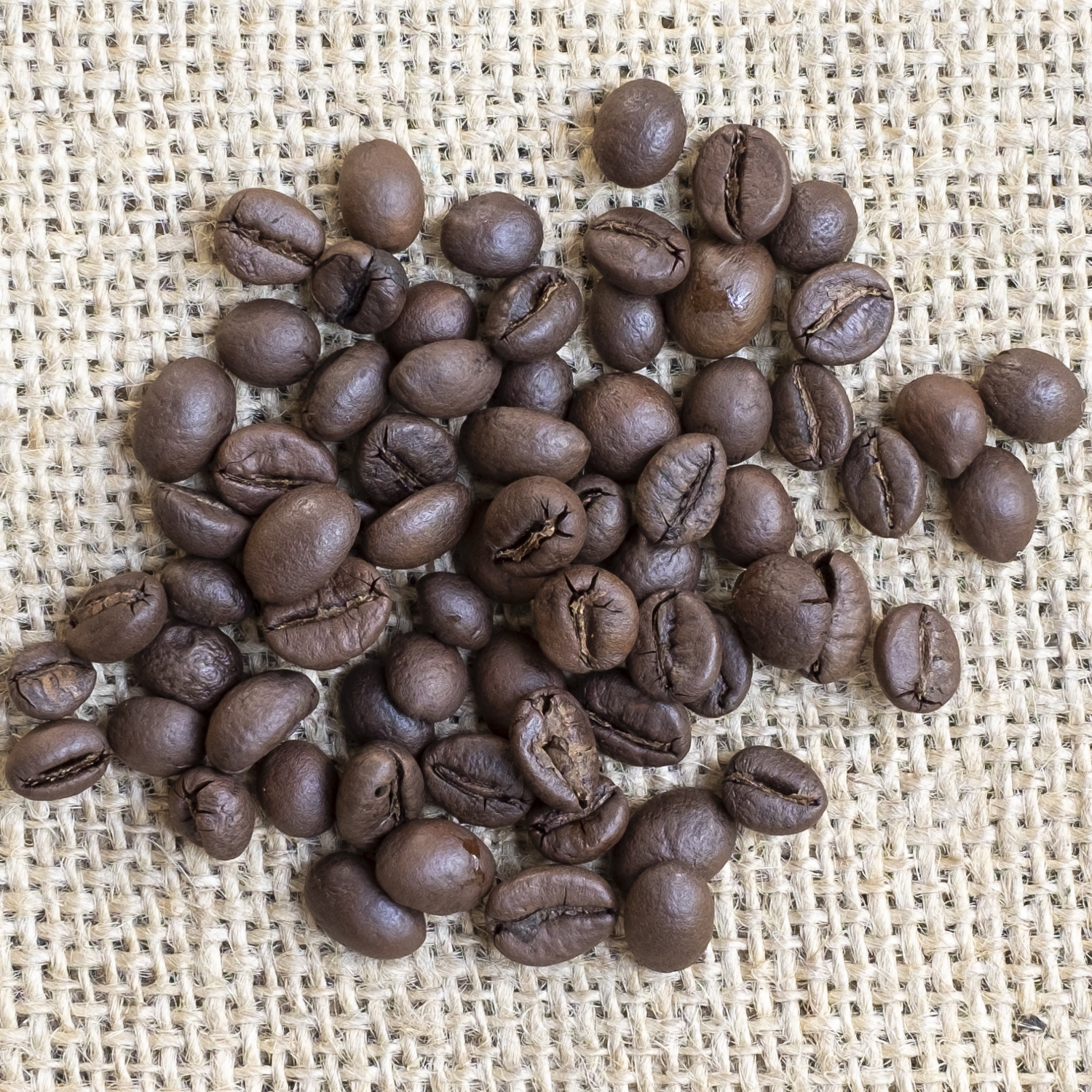 Kaffee India Kaapi Royal Estate Robusta bio