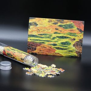 Micro-Puzzle „Salzwasserquelle in Dallol – Danakil-Wüste“