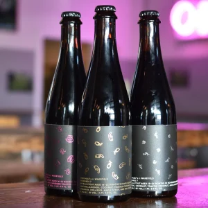 Snowbirds Stout Box 2023