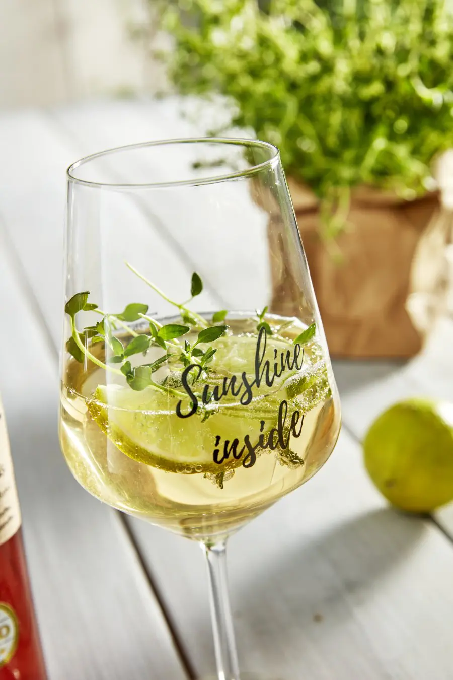 Shrub! meets Wein: der Wein-Tonic – Bild 5